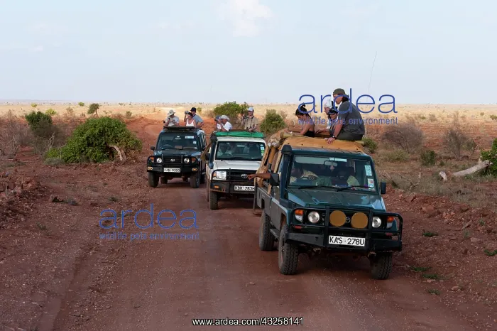 : Tsavo East National Park, Kenya : Tsavo East National Park, Kenya