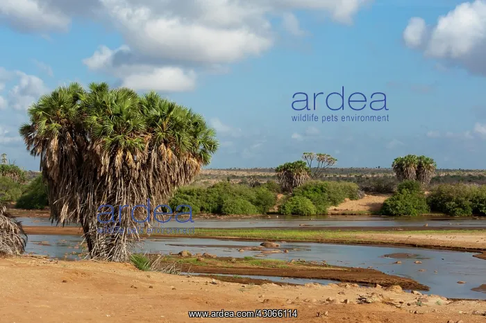  : Tsavo River, Tsavo East National Park, Kenya