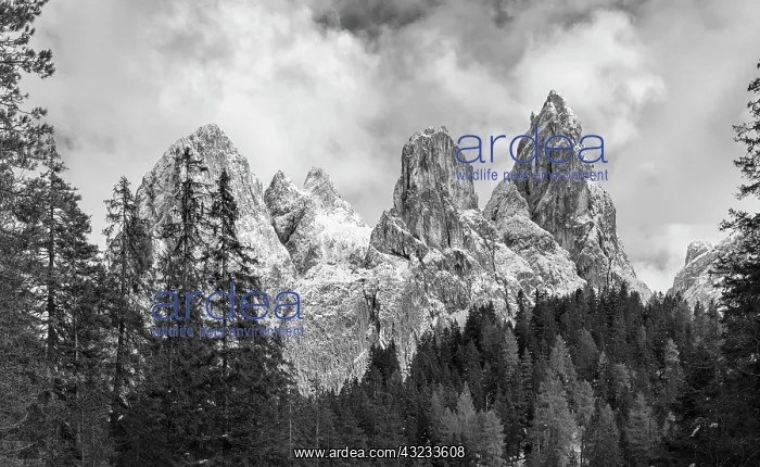 : Tschamin Valley, Valle di Ciamin, in the Rosengarten : Tschamin Valley, Valle di Ciamin, in the Rosengarten