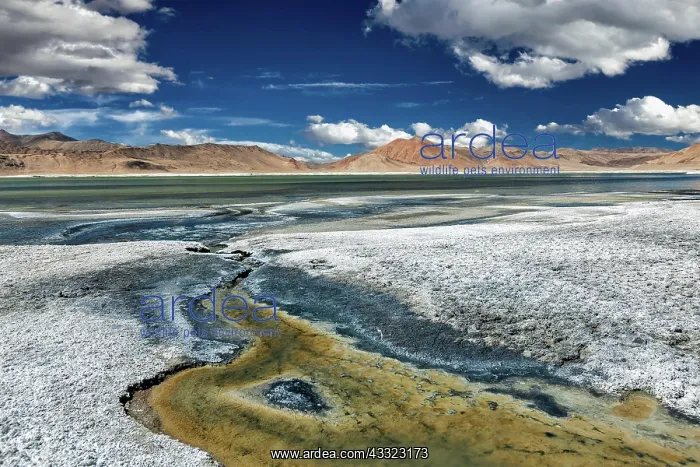 : Tso Kar, fluctuating salt lake in Himalayas. Rapshu : Tso Kar, fluctuating salt lake in Himalayas. Rapshu