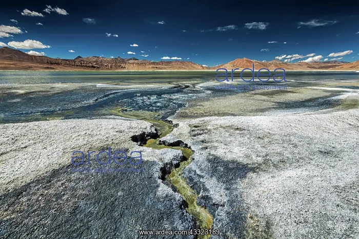 : Tso Kar, fluctuating salt lake in Himalayas. Rapshu : Tso Kar, fluctuating salt lake in Himalayas. Rapshu