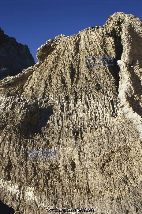 : Tufa Boulder, Nevada : Tufa Boulder, Nevada