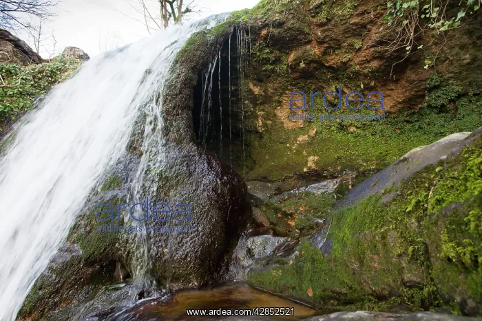 : Tufa curtain behind waterfall at Janet's Foss : Tufa curtain behind waterfall at Janet's Foss