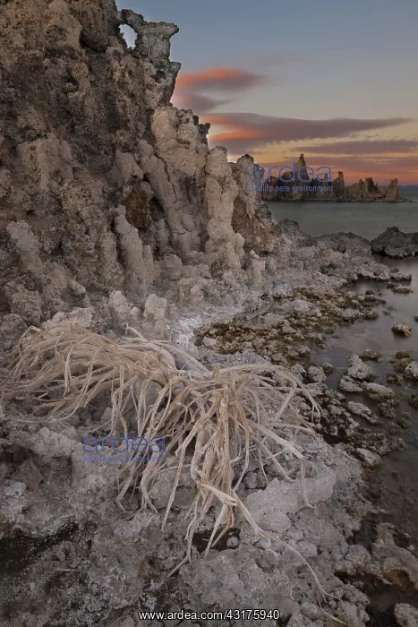 : Tufa Formations, Mono Lake, CA : Tufa Formations, Mono Lake, CA