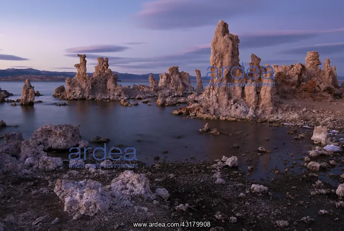 : Tufa Formations, Mono Lake, CA : Tufa Formations, Mono Lake, CA