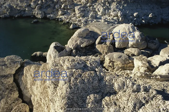 : Tufa Formations, Nevada : Tufa Formations, Nevada