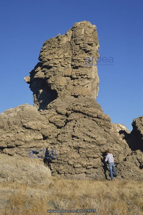: Tufa Formations, Nevada : Tufa Formations, Nevada