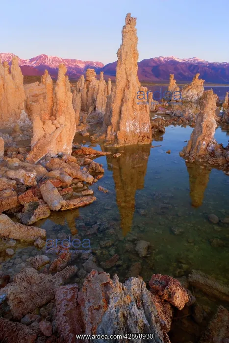 : Tufa Formations - reflected in the alkaline waters : Tufa Formations - reflected in the alkaline waters
