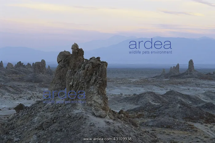 : Tufa Towers in California : Tufa Towers in California