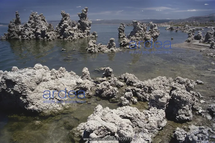 : Tufa Towers, California : Tufa Towers, California