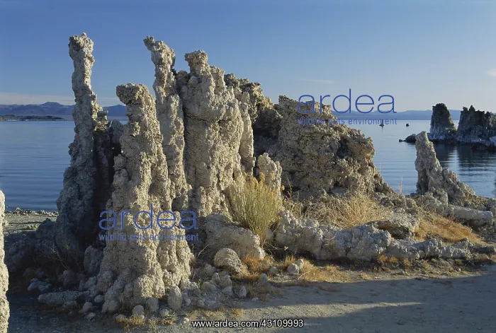 : Tufa Towers at Mono Lake : Tufa Towers at Mono Lake