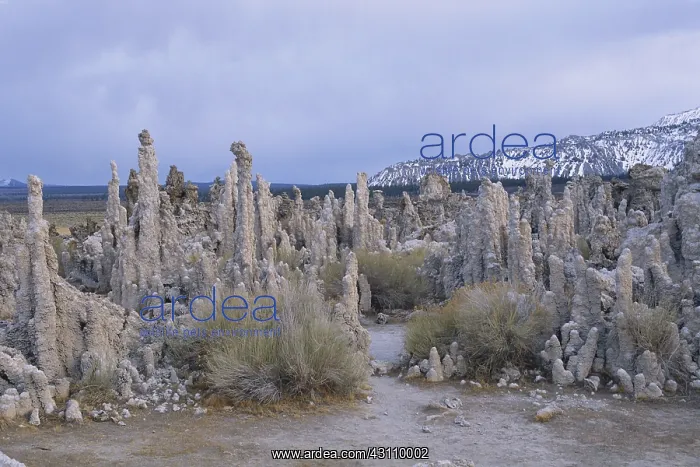 : Tufa Towers at Mono Lake : Tufa Towers at Mono Lake