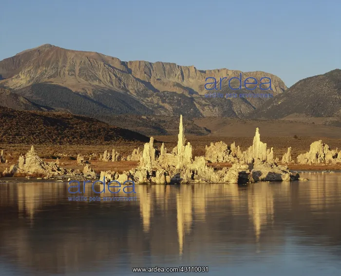 : Tufa Towers, Mono Lake : Tufa Towers, Mono Lake