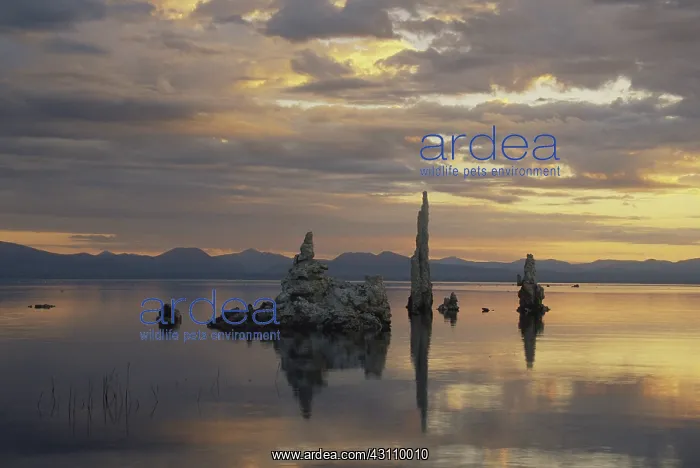 : Tufa Towers at Sunrise : Tufa Towers at Sunrise