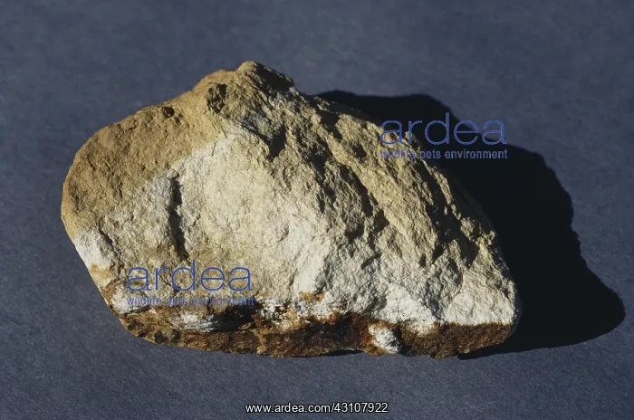: Tuff, compacted volcanic ash from the Onawe Peninsula on the South Island of New Zealand : Tuff, compacted volcanic ash from the Onawe Peninsula on the South Island of New Zealand