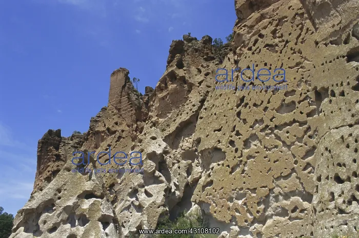 : Tuff in New Mexico : Tuff in New Mexico