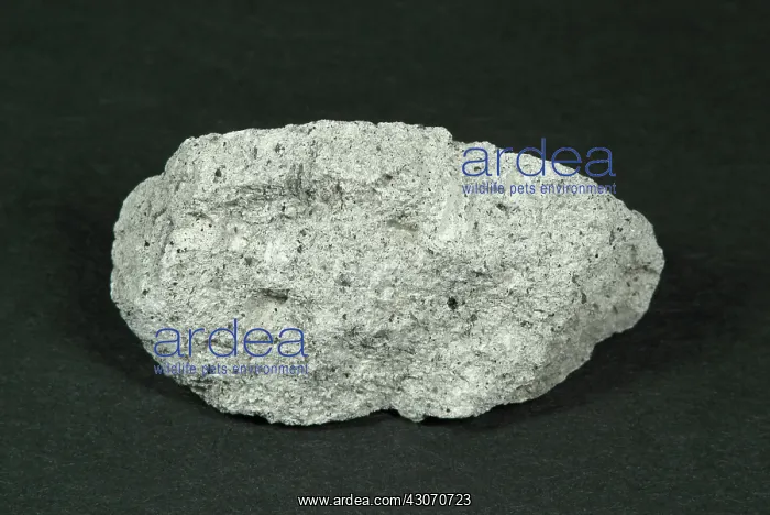 : Tuff, a volcanic (extrusive) igneous rock composed of compacted volcanic ash : Tuff, a volcanic (extrusive) igneous rock composed of compacted volcanic ash