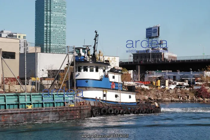 : Tug Pushing Recycling Barge on Newtown Creek, NYC : Tug Pushing Recycling Barge on Newtown Creek, NYC