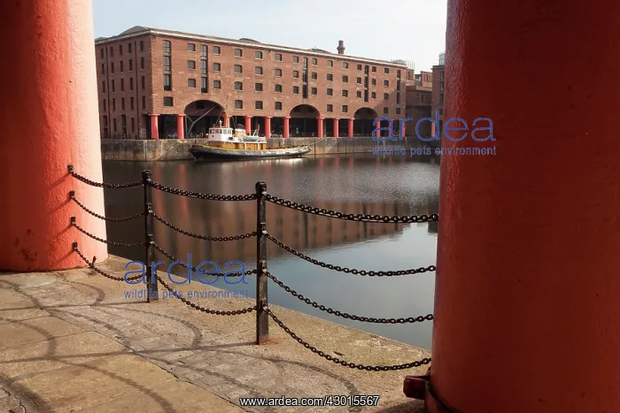  : Tugboat. Albert Docks, Liverpool, UK