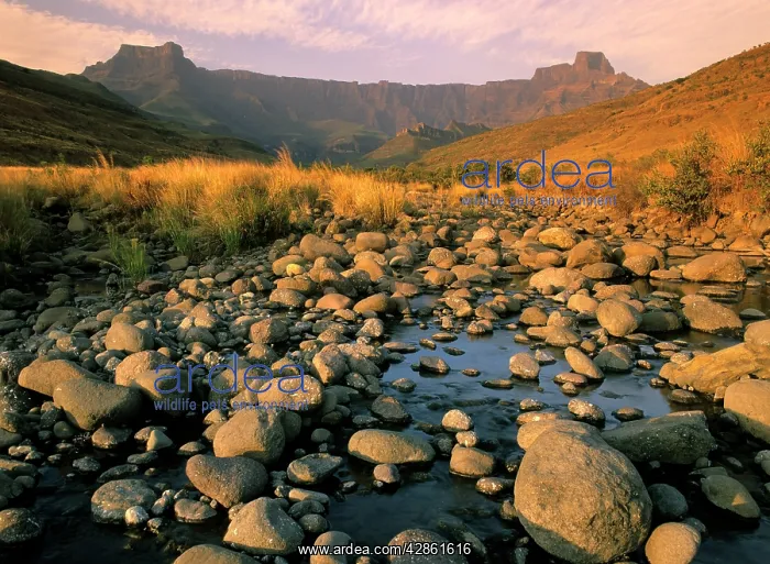 : Tugela river bed with Mount-aux-Sources called Amphitheatre : Tugela river bed with Mount-aux-Sources called Amphitheatre