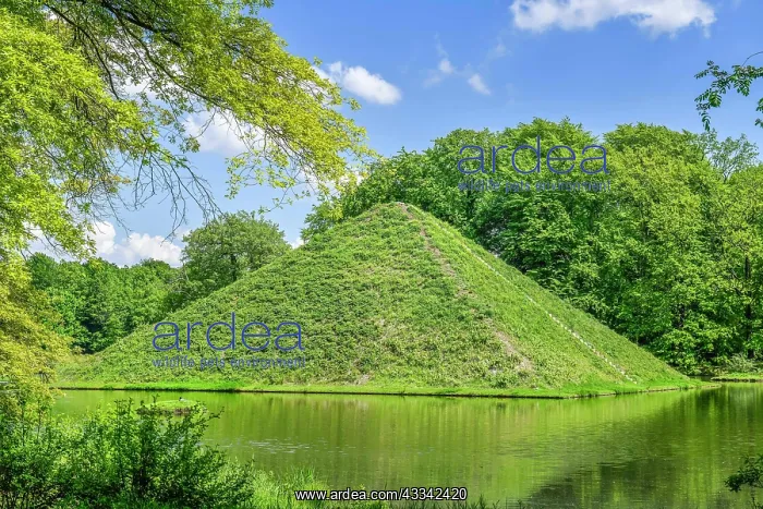 : Tumulus, lake pyramid, grave, Prince Puckler Park : Tumulus, lake pyramid, grave, Prince Puckler Park