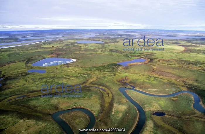  : Tundra - lakes and rivers - an aerial view from