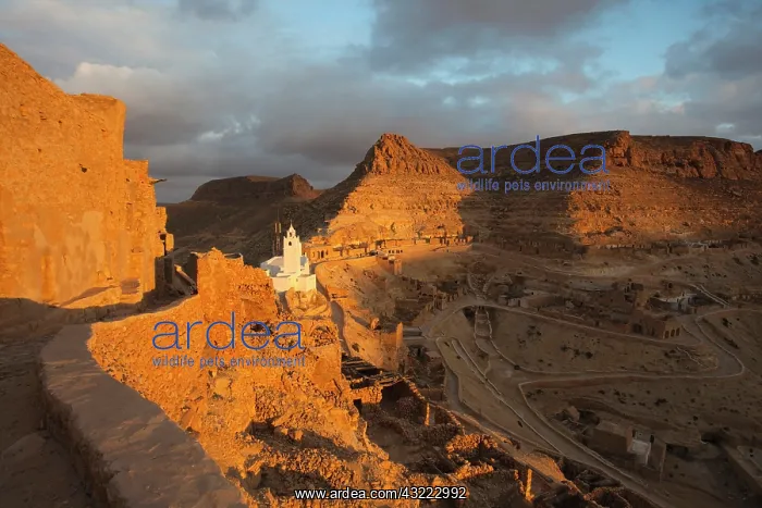: Tunisia, Ksour Area, Chenini, Berber village : Tunisia, Ksour Area, Chenini, Berber village