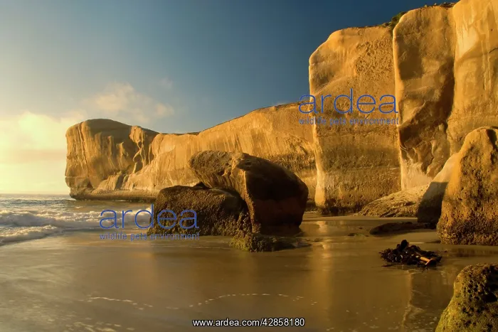 : Tunnel Beach - sculpted cliffs seen from Tunnel : Tunnel Beach - sculpted cliffs seen from Tunnel