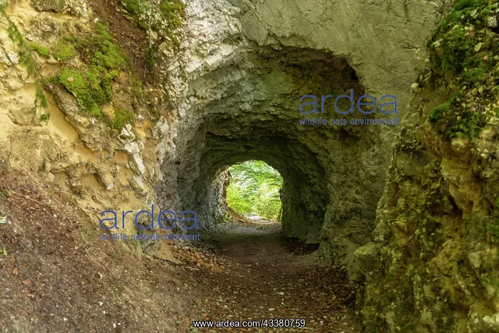 : Tunnel in the rock on the hiking trail around the : Tunnel in the rock on the hiking trail around the