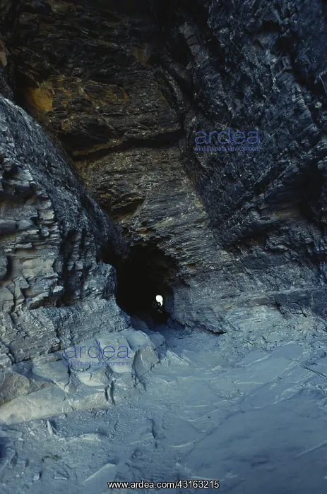 : Tunnel in Waterton Park : Tunnel in Waterton Park