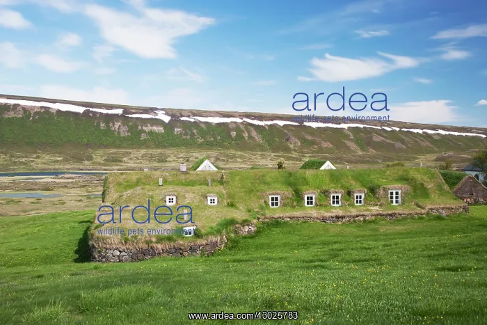 : Turf Dwellings : Turf Dwellings