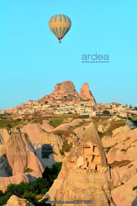 : Turkey. Ballooning in Cappadocia. Every morning : Turkey. Ballooning in Cappadocia. Every morning
