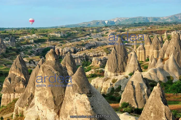  : Turkey. Ballooning in Cappadocia. Every morning