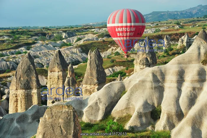 : Turkey. Ballooning in Cappadocia. Every morning : Turkey. Ballooning in Cappadocia. Every morning