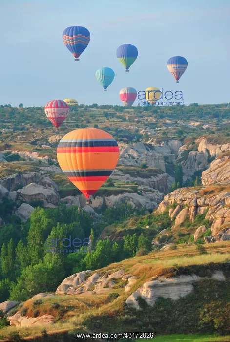: Turkey. Ballooning in Cappadocia. Every morning : Turkey. Ballooning in Cappadocia. Every morning