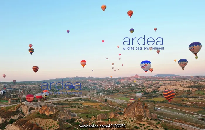  : Turkey. Ballooning in Cappadocia. Every morning