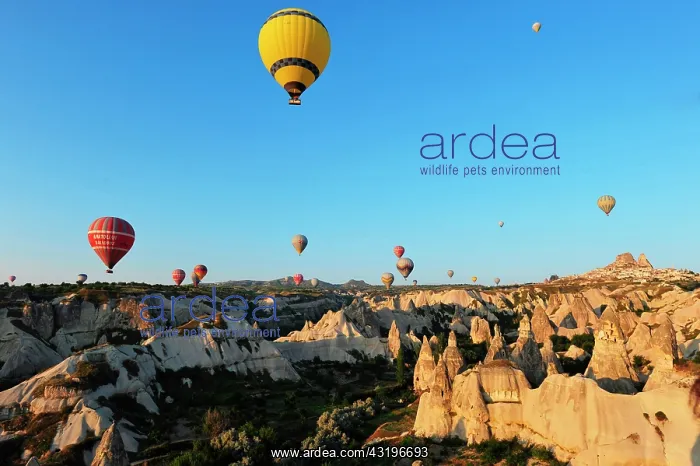: Turkey. Ballooning in Cappadocia. Every morning : Turkey. Ballooning in Cappadocia. Every morning