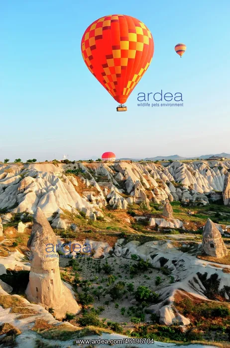 : Turkey. Ballooning in Cappadocia. Every morning : Turkey. Ballooning in Cappadocia. Every morning