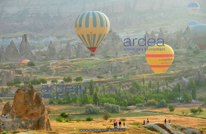 : Turkey. Ballooning in Cappadocia. Every morning : Turkey. Ballooning in Cappadocia. Every morning