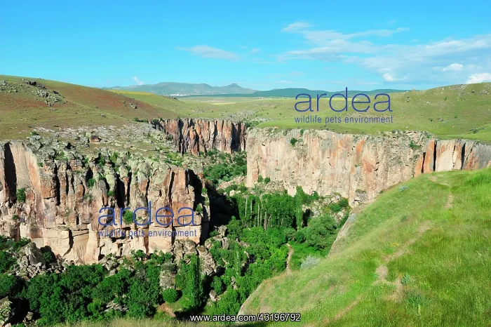 : Turkey. Cappadocia. The Ihlara valley is running : Turkey. Cappadocia. The Ihlara valley is running