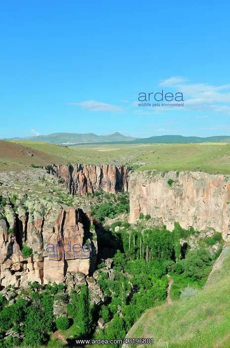 : Turkey. Cappadocia. The Ihlara valley is running : Turkey. Cappadocia. The Ihlara valley is running