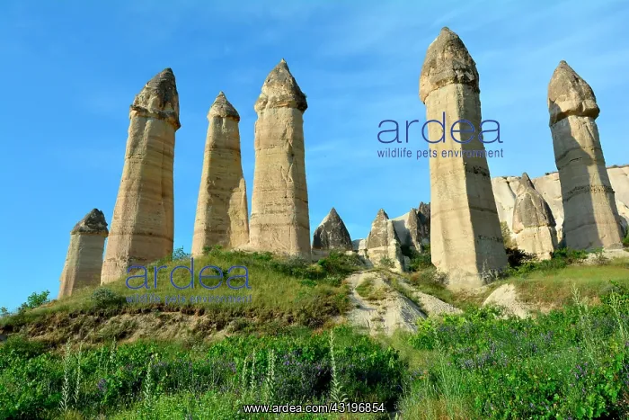 : Turkey. Cappadocia. Near Goreme, the Love Valley : Turkey. Cappadocia. Near Goreme, the Love Valley