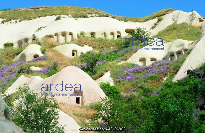 : Turkey. Cappadocia. Uchisar. Near the village of : Turkey. Cappadocia. Uchisar. Near the village of