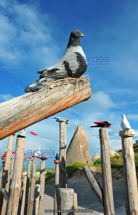 : Turkey. Cappadocia. Uchisar. Sculpture of pigeons : Turkey. Cappadocia. Uchisar. Sculpture of pigeons