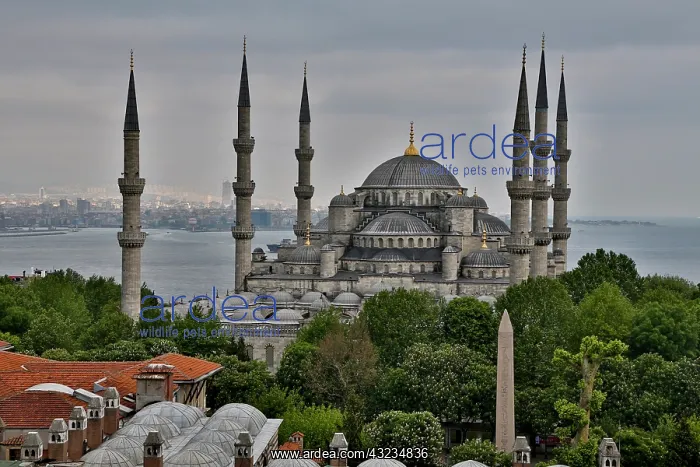 : Turkey Istanbul and Blue Mosque : Turkey Istanbul and Blue Mosque