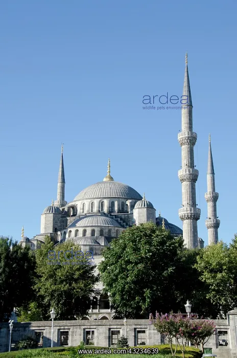 : Turkey, Istanbul, Blue Mosque. View from : Turkey, Istanbul, Blue Mosque. View from