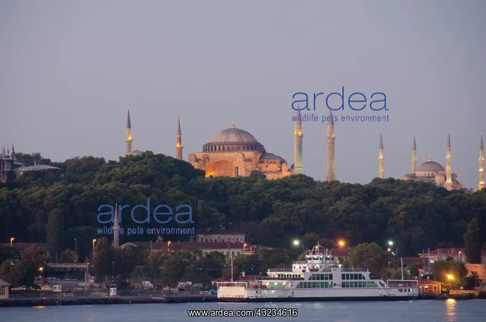 : Turkey, Istanbul. Istanbul city skyline : Turkey, Istanbul. Istanbul city skyline