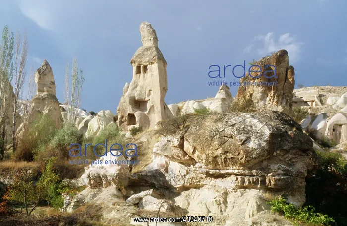 : TURKEY - Pigeon Valley : TURKEY - Pigeon Valley