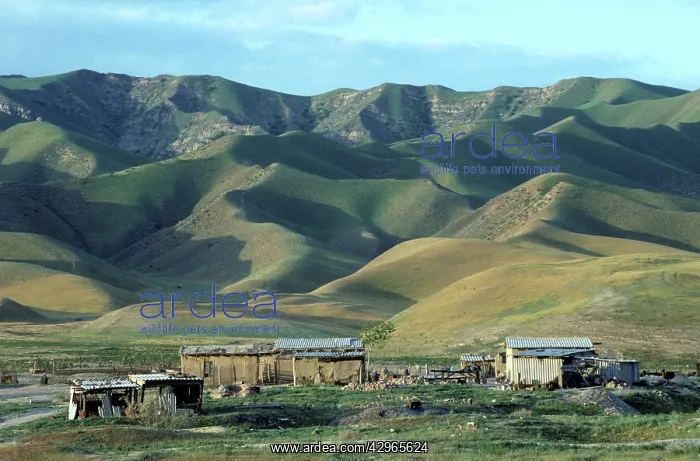 : Turkmen people houses - built of mud - Karahoudan : Turkmen people houses - built of mud - Karahoudan