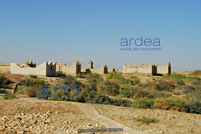 : Turkmenistan, Merv, ruined structure of : Turkmenistan, Merv, ruined structure of